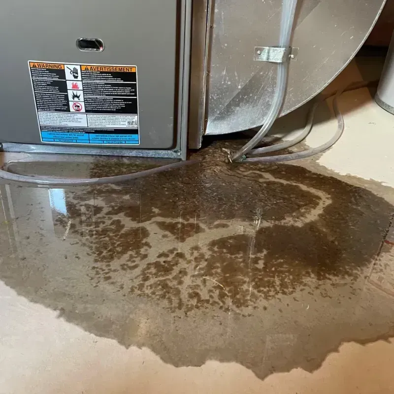 Appliance Leak Cleanup in Ruleville, MS